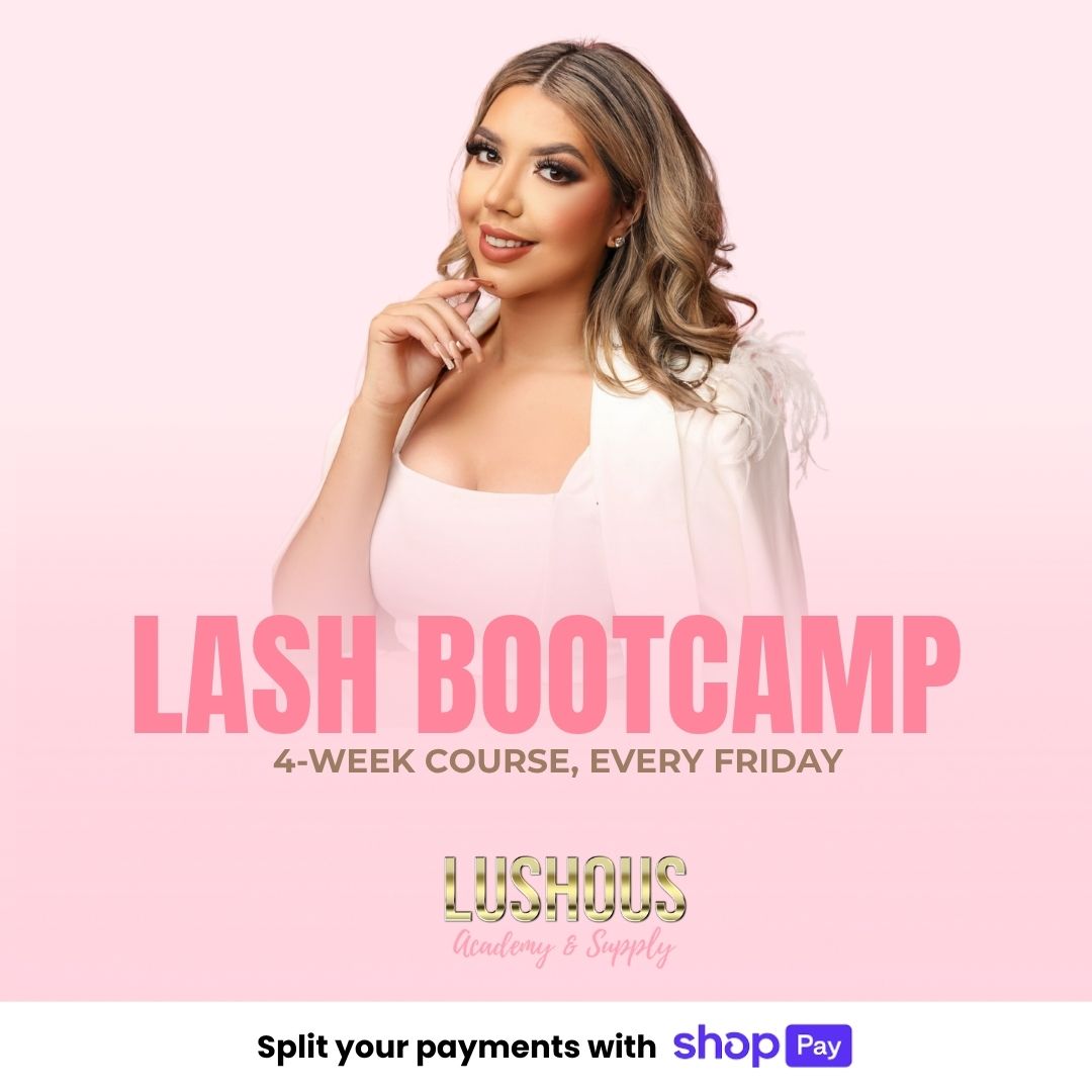4 Week Lash Bootcamp, Fridays – November